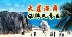 性插视频网站海南三亚-天崖海角旅游风景区